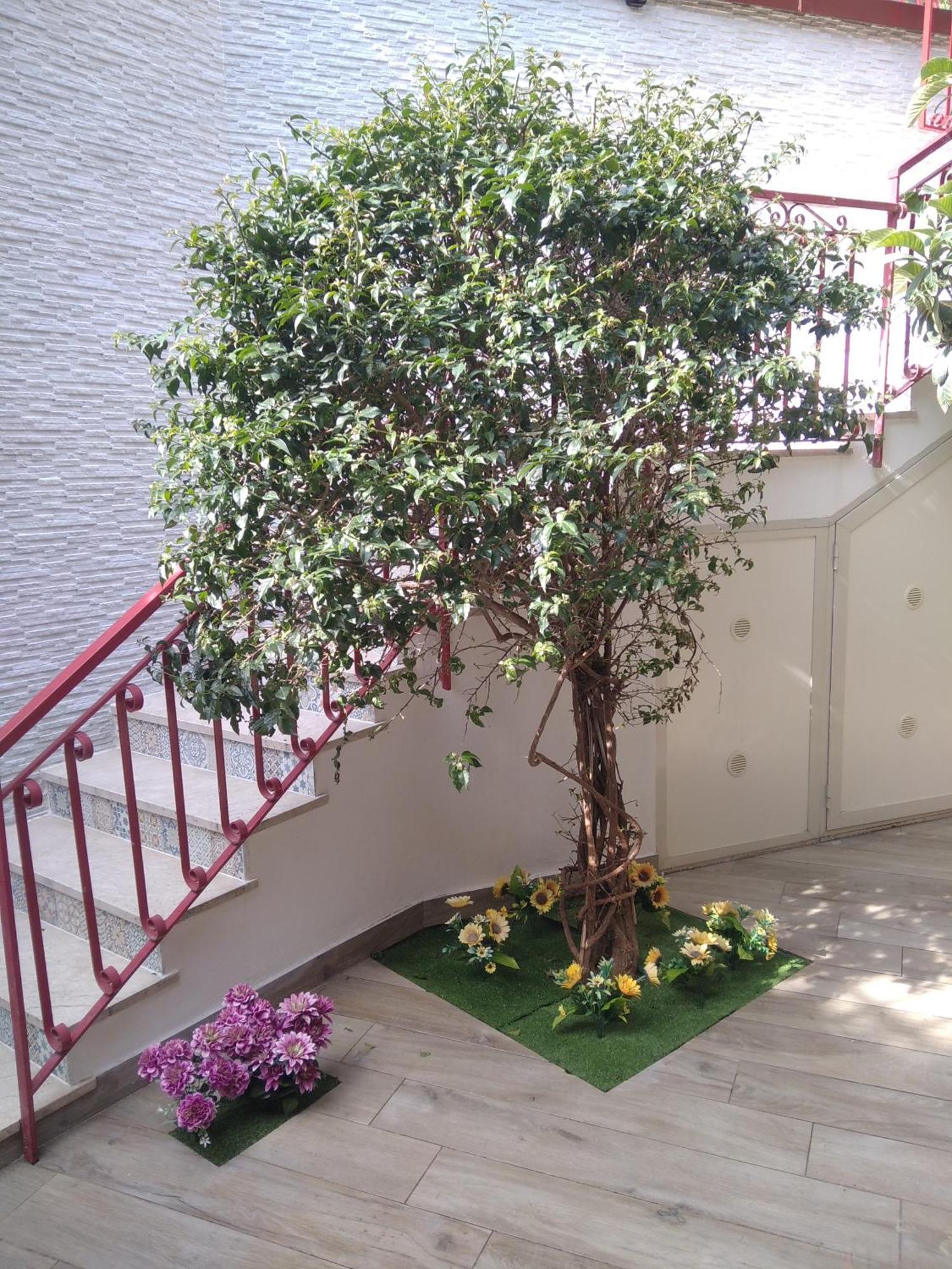 Apartament Poggio Del Sole Letojanni Zewnętrze zdjęcie